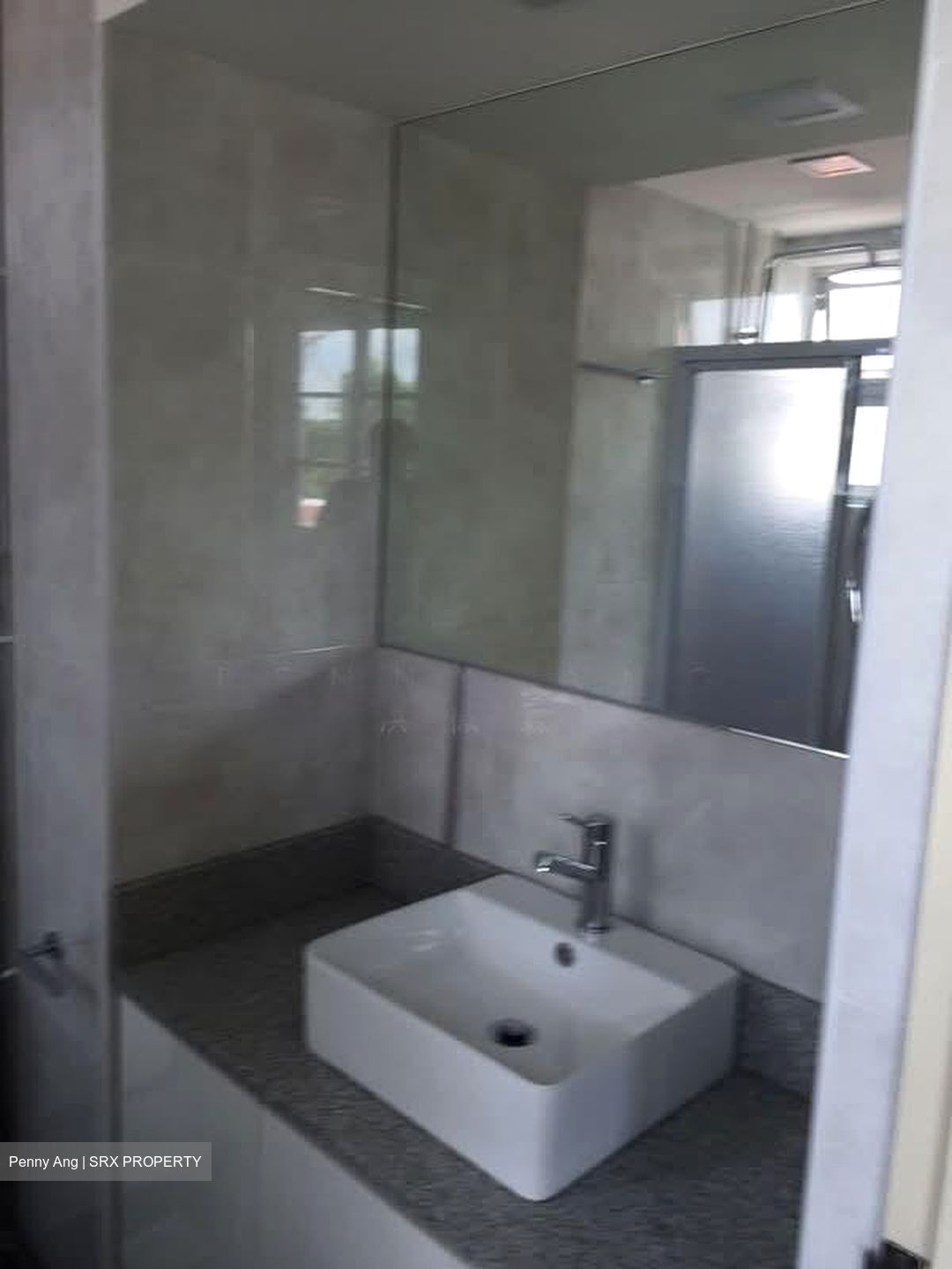 Shelford Regency (D11), Condominium #558261781